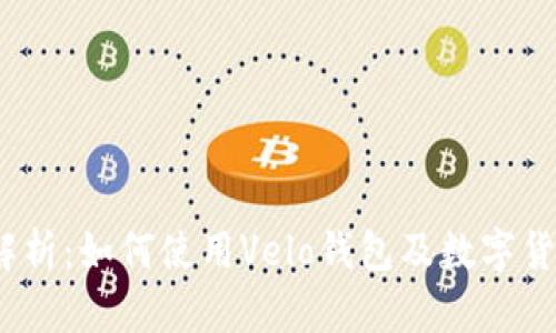 2023年全面解析：如何使用Velo钱包及数字货币的投资策略