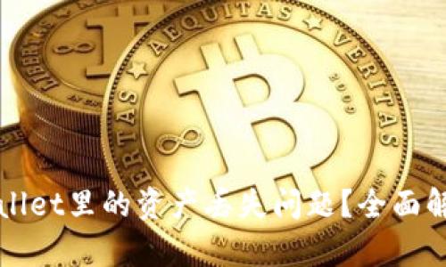 如何解决tpWallet里的资产丢失问题?全面解析与解决方案