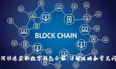 如何快速获取数字钱包余额：详解攻略和常见问