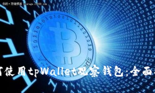 如何使用tpWallet观察钱包：全面指南