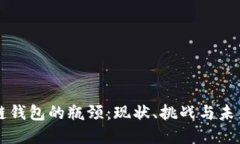区块链钱包的瓶颈：现状、挑战与未来发展