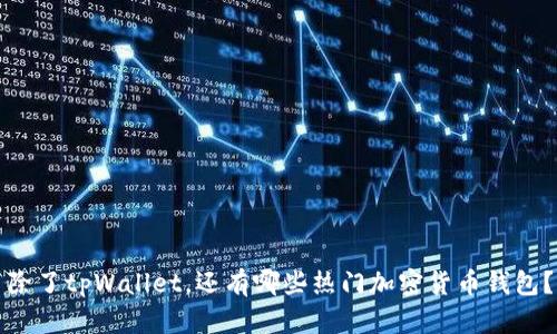 除了tpWallet,还有哪些热门加密货币钱包?