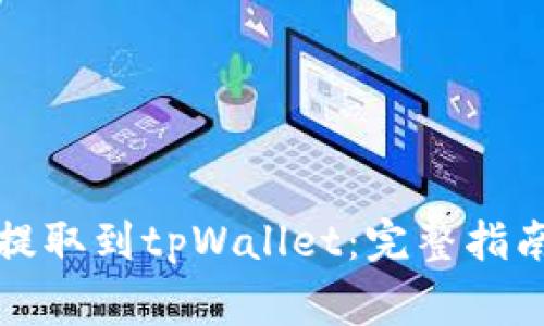 如何将美元提取到tpWallet：完整指南与注意事项