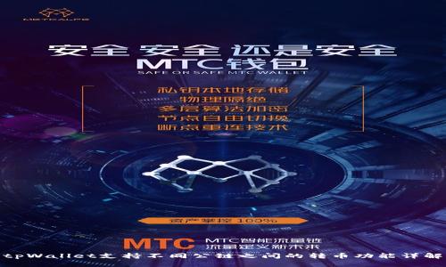 tpWallet支持不同公链之间的转币功能详解