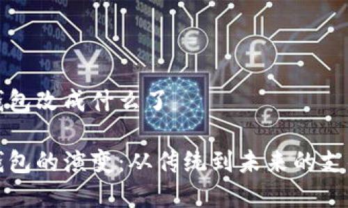 数字钱包改成什么了

数字钱包的演变：从传统到未来的支付方式