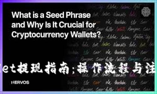 tpWallet提现指南：操作流程与注意事项