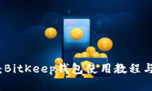 完整指南:BitKeep钱包使用教程与安全技巧