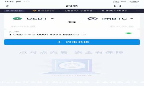 tpWallet如何高效支持USDT接收：全面指南与实用技巧