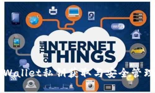 Title: tpWallet私钥获取与安全管理全面指南