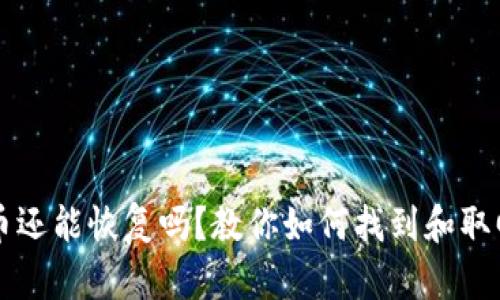 tpWallet删除的币还能恢复吗?教你如何找到和取回失落的数字资产