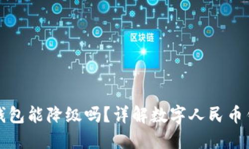 数字人民币二类钱包能降级吗？详解数字人民币钱包的使用与功能