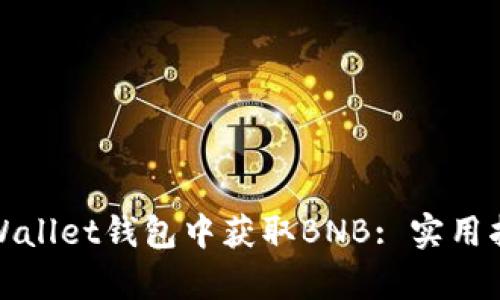如何在tpWallet钱包中获取BNB: 实用指南与技巧