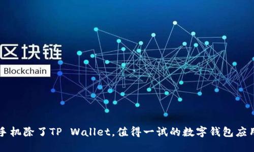 苹果手机除了TP Wallet，值得一试的数字钱包应用推荐