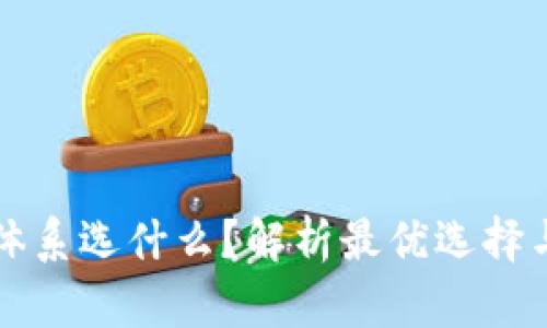 tpWallet体系选什么？解析最优选择与实用价值