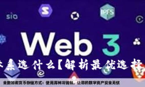 tpWallet体系选什么？解析最优选择与实用价值