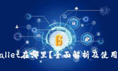 tpWallet在哪里？全面解析及使用指南