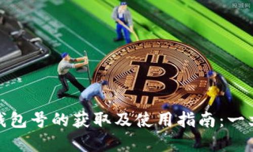 数字钱包号的获取及使用指南：一文详解