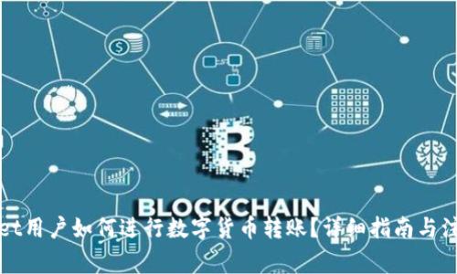 tpWallet用户如何进行数字货币转账？详细指南与注意事项