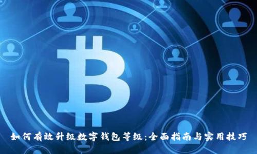 如何有效升级数字钱包等级：全面指南与实用技巧