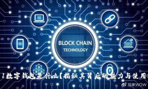 0051数字钱包是什么？揭秘其背后的魅力与使用场景