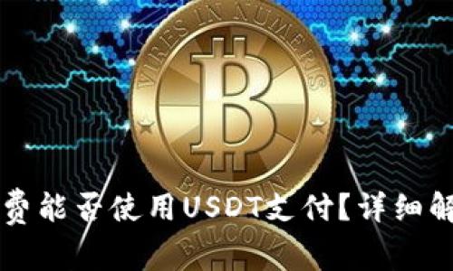 tpWallet矿工费能否使用USDT支付？详细解析与实用指南