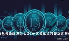 数字钱包借款逾期怎么办？如何有效应对借款逾