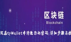 如何在tpWallet中修改你的密码：详细步骤与技巧