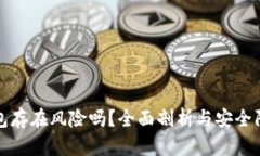 数字钱包存在风险吗？全面剖析与安全防护指南