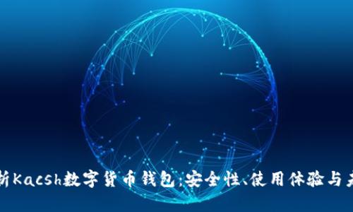 全面解析Kacsh数字货币钱包：安全性、使用体验与未来发展