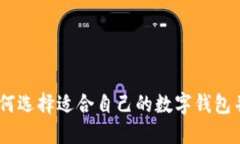 数字钱包龙头：如何选择适合自己的数字钱包并