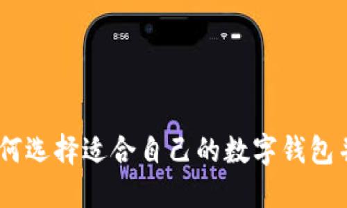 数字钱包龙头：如何选择适合自己的数字钱包并充分利用其优势