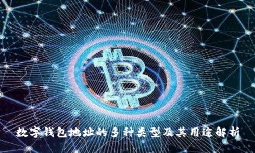 数字钱包地址的多种类型及其用途解析
