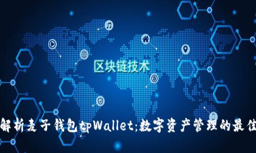 深入解析麦子钱包tpWallet：数字资产管理的最佳选择