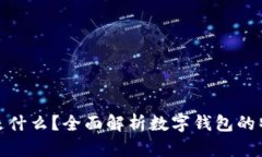 数字钱包是什么？全面解析数字钱包的特点与优