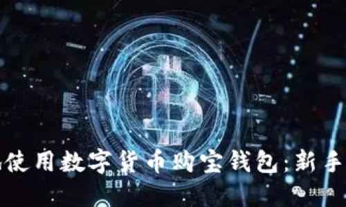 如何安全高效地使用数字货币购宝钱包：新手指南与最佳实践