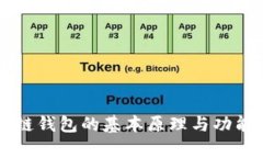 区块链钱包的基本原理与功能解析