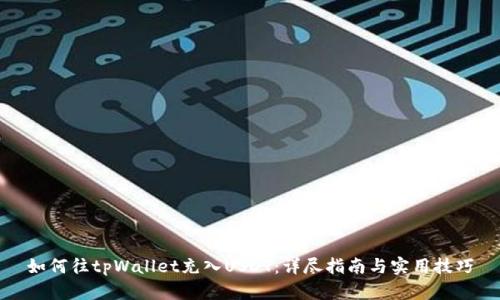 如何往tpWallet充入USDT：详尽指南与实用技巧