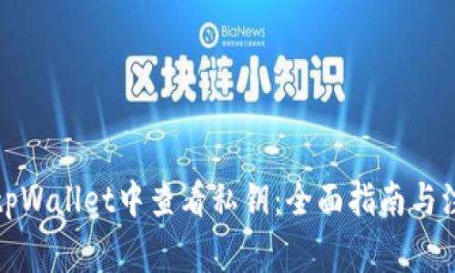 如何在tpWallet中查看私钥：全面指南与注意事项