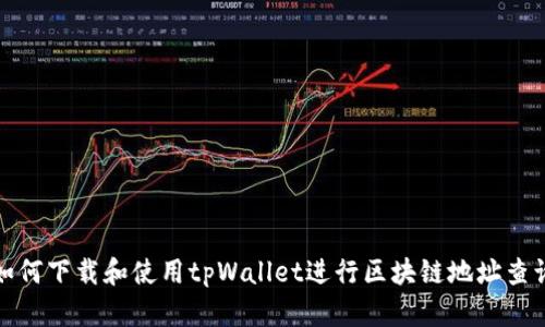 如何下载和使用tpWallet进行区块链地址查询