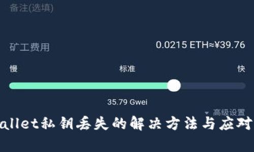 tpWallet私钥丢失的解决方法与应对策略